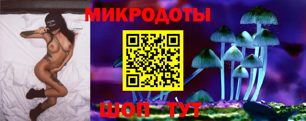 Галлюциногенные грибы MAGIC MUSHROOMS  Вход с VPN  Зеленогорск  сколько стоит  Псилоцибиновые грибы Cubensis 